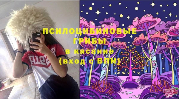 прущая мука Алзамай