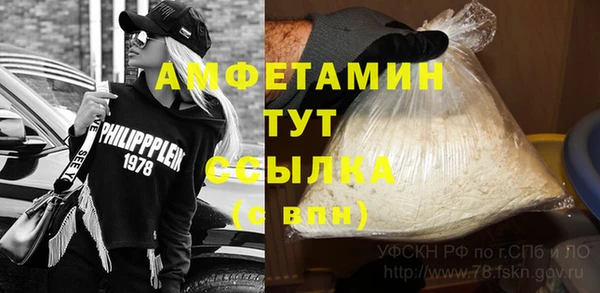 шишки Осинники