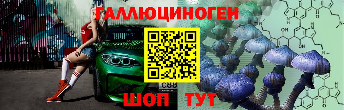 Галлюциногенные грибы Psilocybe  Вход с VPN  цена наркотик  Октябрьский 